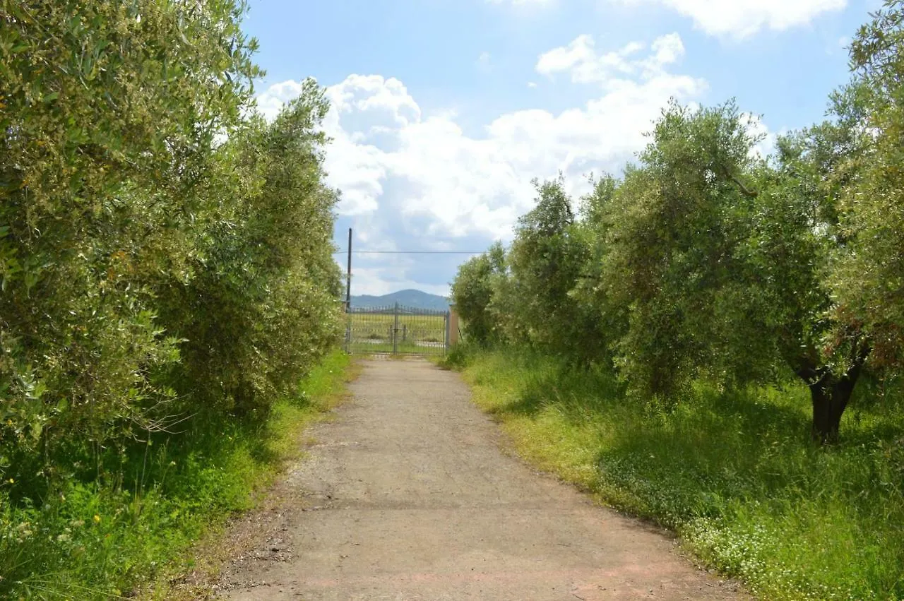 Agriturismo OlivoMare Piombino Alloggio per agriturismo