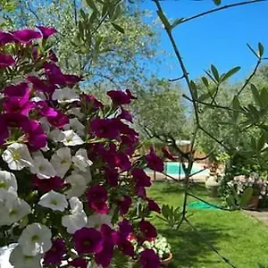 Agriturismo Le Dolci Colline D'abruzzo Pianella (Siena)